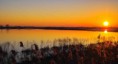 /album/galleria-foto-paesaggi/tramonto-calanca-giallo-jpg/